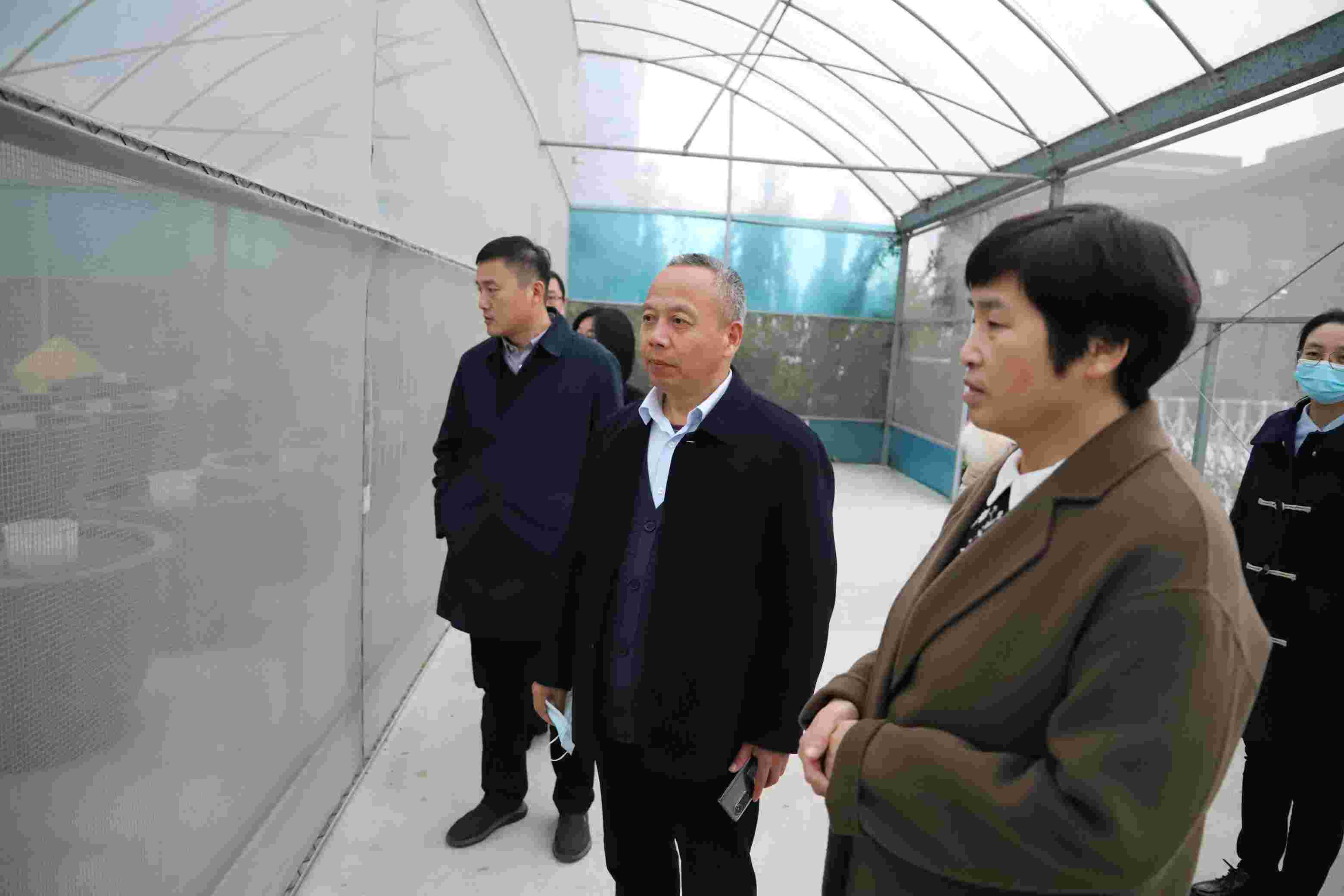 市發改委調研組到正信味業考察服務業發展情況